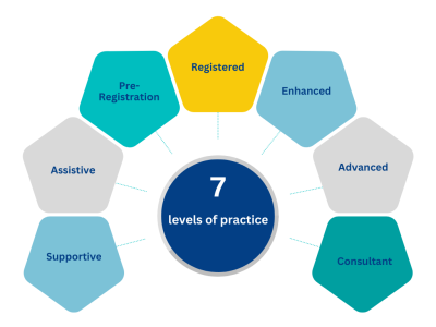 Levels of practice.png